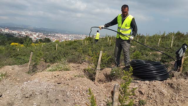 Damla Sulama Montajı